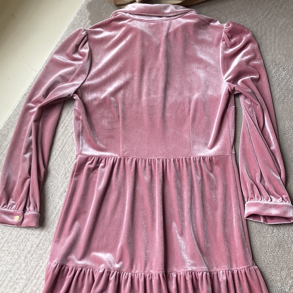 Beautiful Jude Conally rose color, soft velveteen dress - Picture 9 of 16